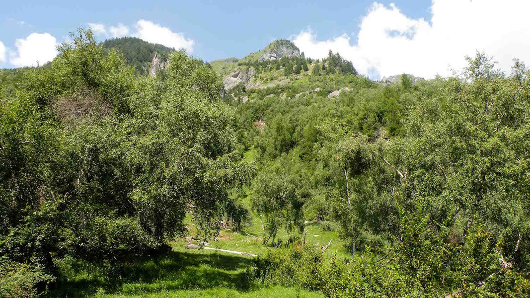Birkenhain